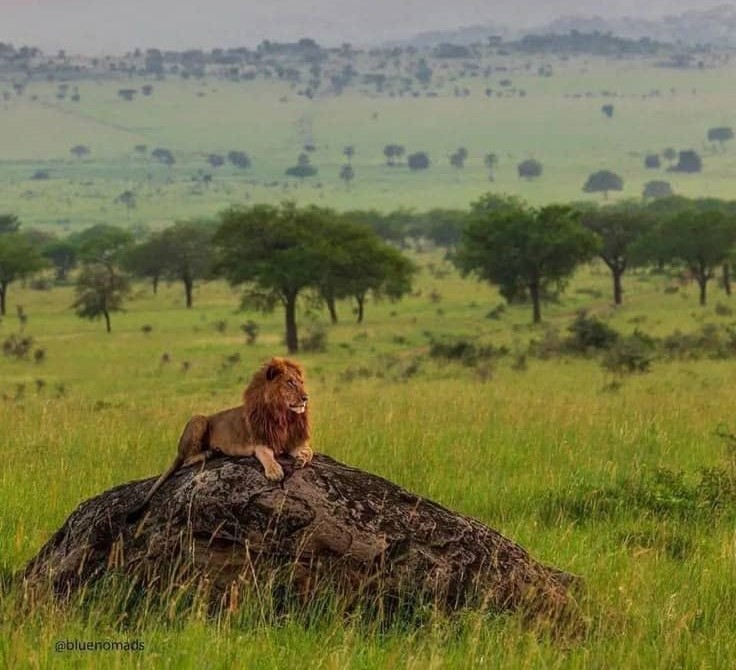 Kidepo Valley National Park